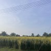 4_resize