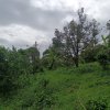 8_resize