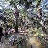 4_resize